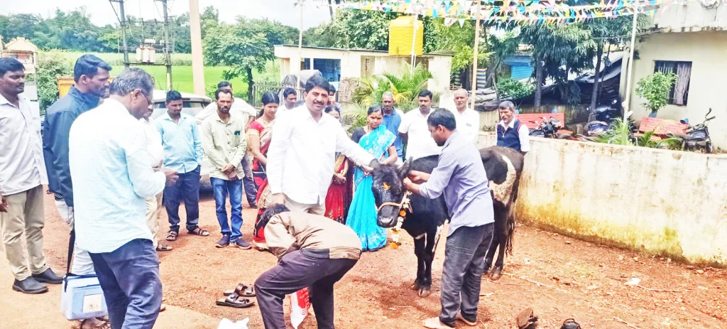 Vaccination of cattle for control of lumpy disease