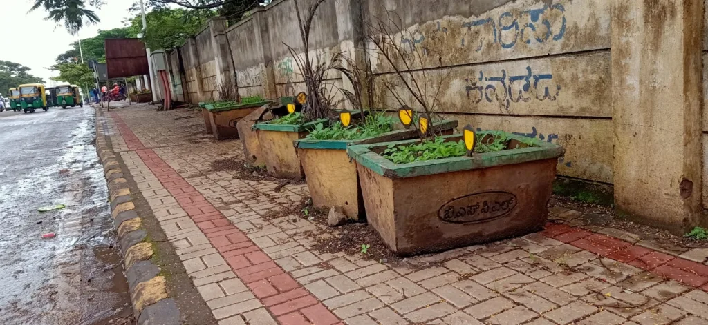 The plight of ornamental plant pots
