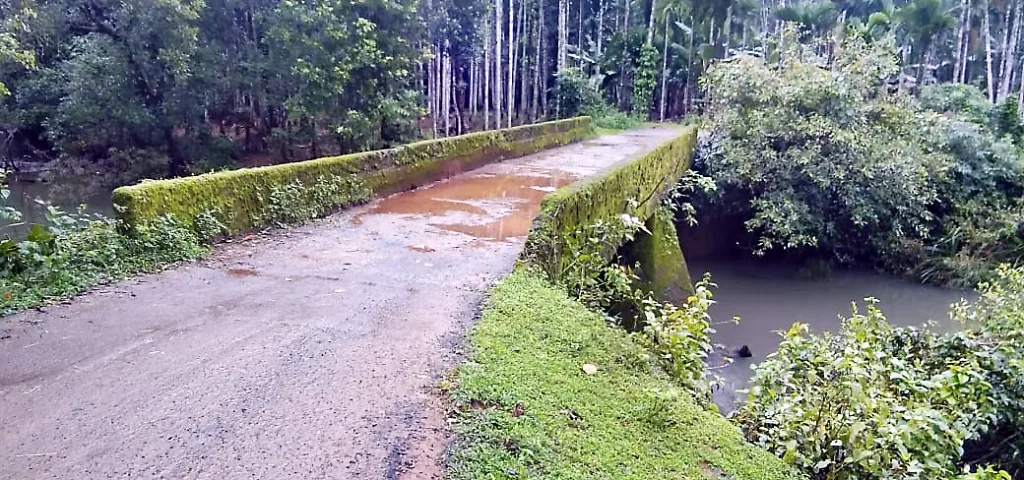 पाटवळ-खोतोडा अऊंद पूल कमकुवत. Patwal-Khotoda wide bridge weak