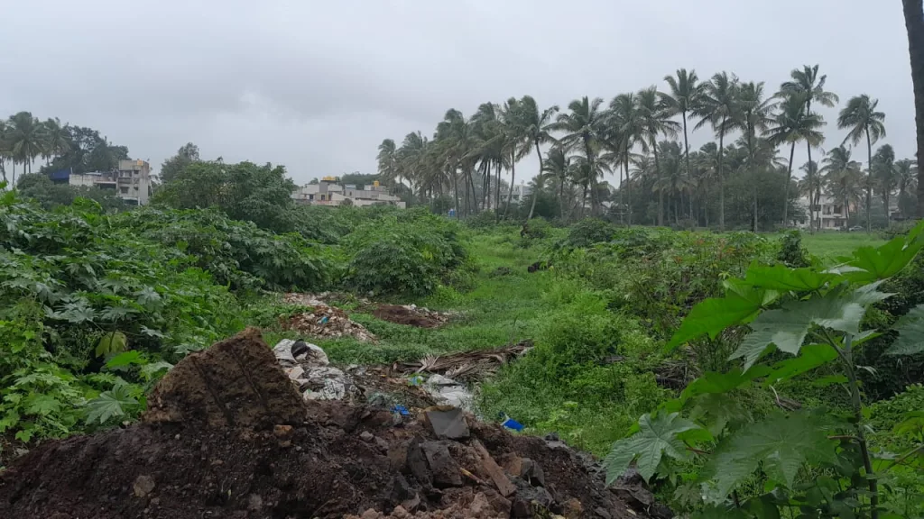 Clean 'that' pond at Teachers Colony