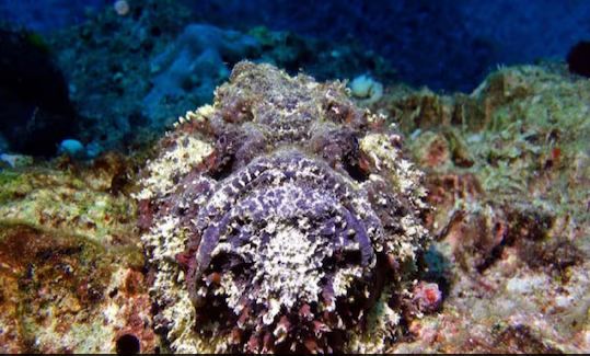 A drop of disguise... a city to steal!