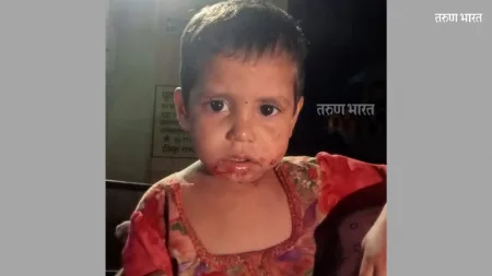 girl were attacked crushed fox