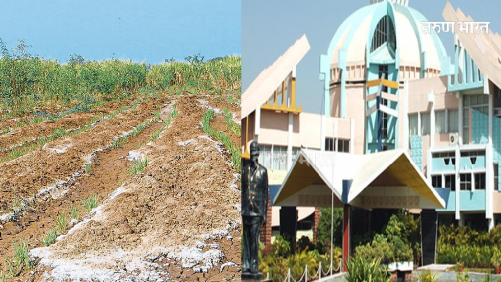 Sridatta factory salinity free soil pattern