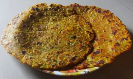 भाजी आवडत नाही मग ट्राय करा दुधीचे खमंग पराठे paratha making from bottle guard