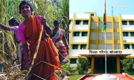 ऊसतोड कामगार ओळखपत्र तयार करण्यास ग्रामसेवक संघटनांचा नकार sugarcane worker Icard