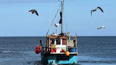 आजपासून समुद्रातील यांत्रिक मासेमारीला सुरूवात, ४ हजार नौका सज्ज Mechanical fishing start ratnangiri marathi kokan news