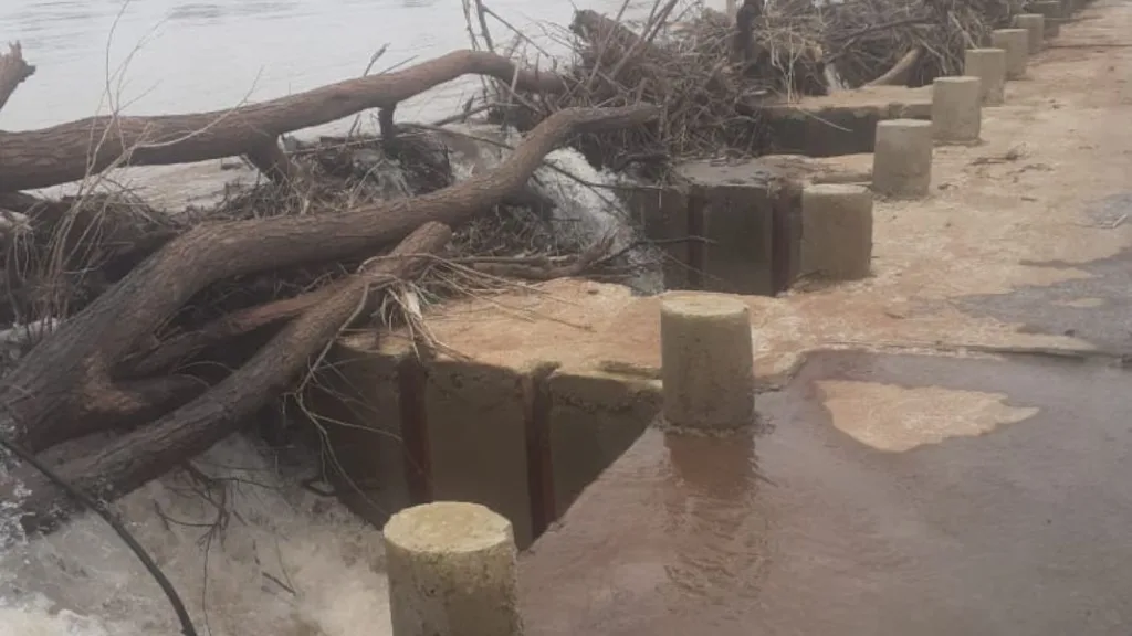 flooded trees and bushes got stuck embankment Warna river