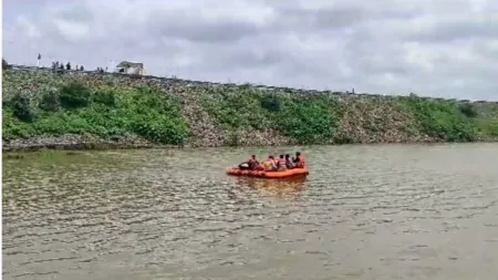 Frustrated man committed suicide jumping Neera river satara