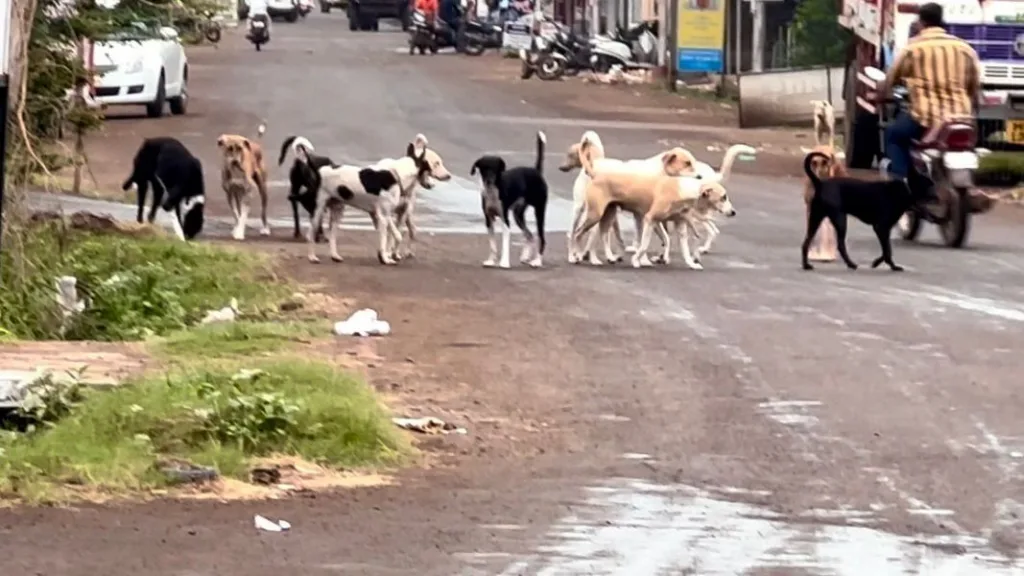 ‘स्वच्छतेत एक नंबर मिळविलेले शहर हेच का?’ माजी उपनगराध्यक्षांचा सवाल Kiran Tarlekar says Why city that got number one in cleanliness