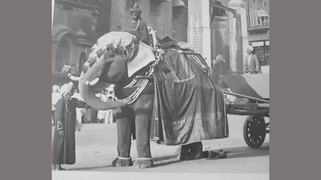 Rajarshi Shahu Maharaj decision Historical order elephants