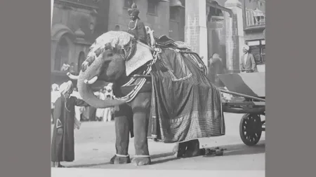 Rajarshi Shahu Maharaj decision Historical order elephants