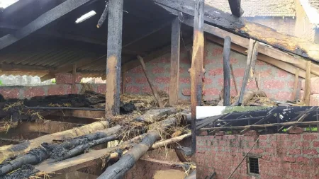 Warna Kapshi fire broke out in the animal shed loss of three lakh rupees