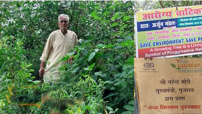 Collector of 20 thousand herbs