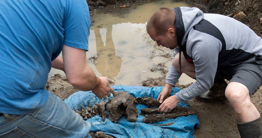 A unique discovery was made in the vicinity of the house