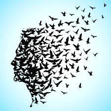 स्वातंत्र्य म्हणजे काय? What is freedom?