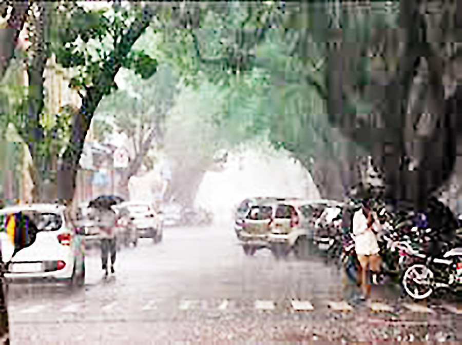 मुसळधार पावसाने राज्याला झोडपले Heavy rains lashed the state