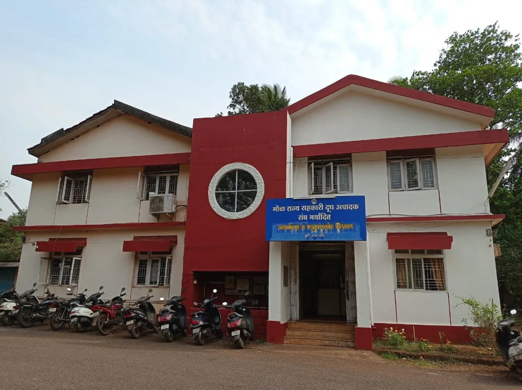 अपात्र संचालकांना दणका Bum to disqualified directors