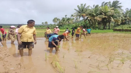 मालवणात विद्यार्थ्यांनी लावलो तरवो !