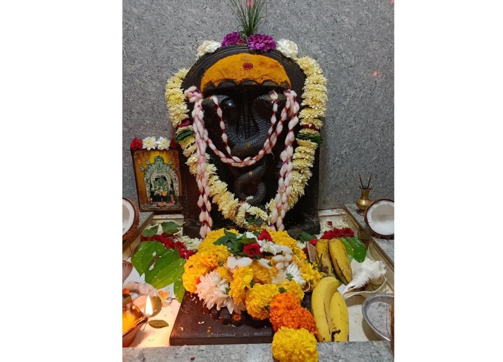 खानापूर तालुक्यात नागपंचमी उत्साहात Nag Panchami in excitement in Khanapur taluka