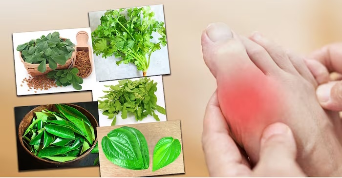 Consumption of leaves to control uric acid is a 'cruel remedy'