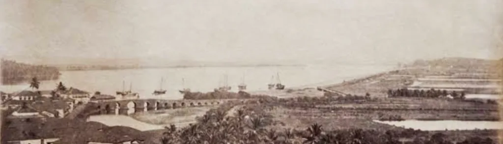 रायबंदर पुलासाठी खारफुटी ठरतेय कर्करोग Mangroves are cancer for Raibandar Bridge