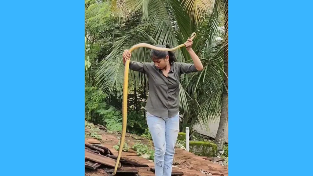 killing of snakes has decreased Contribution of Sarpamitra