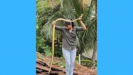 Nag Panchami Special : सर्पमित्रांनी जपला दुवा… killing of snakes has decreased Contribution of Sarpamitra