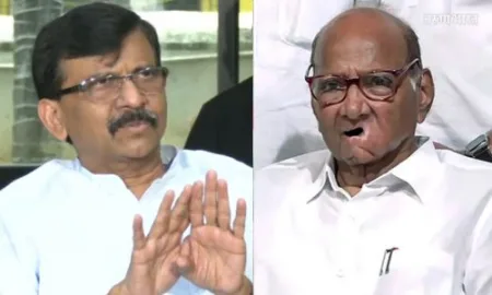 शरद पवार तर नाती जपत असतील तर कार्यकर्त्यांनी का भांडावं ? संजय राऊत यांचा शरद पवारांवर टीका Sanjay Raut criticizes Sharad Pawar