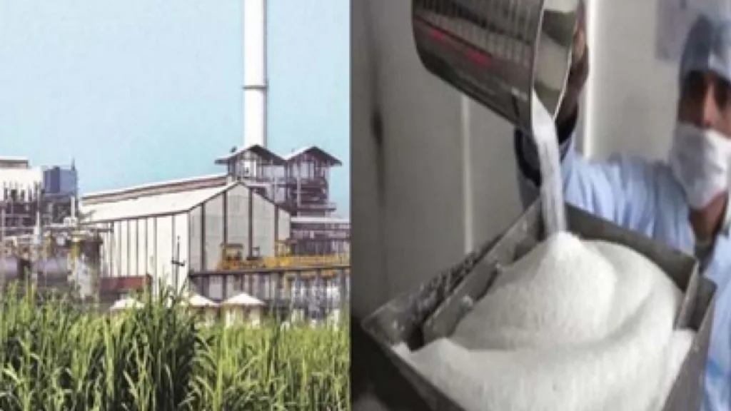 Kolhapur : साखर उद्योगाचा आर्थिक ताळमेळ बिघडणार The economic balance of the sugar industry will deteriorate