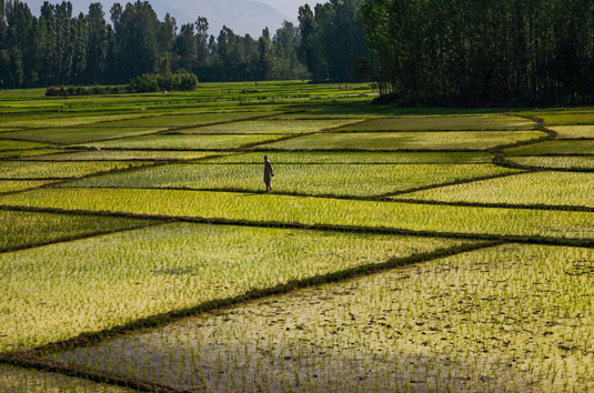 The challenge of rain