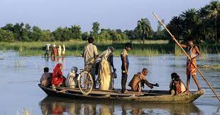 Every family in the village has a boat