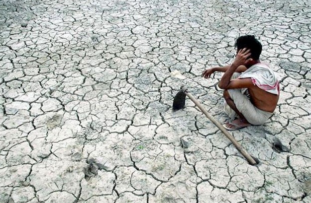 दुष्काळी परिस्थितीबाबत सर्वेक्षण मोहीम Survey campaign on drought conditions