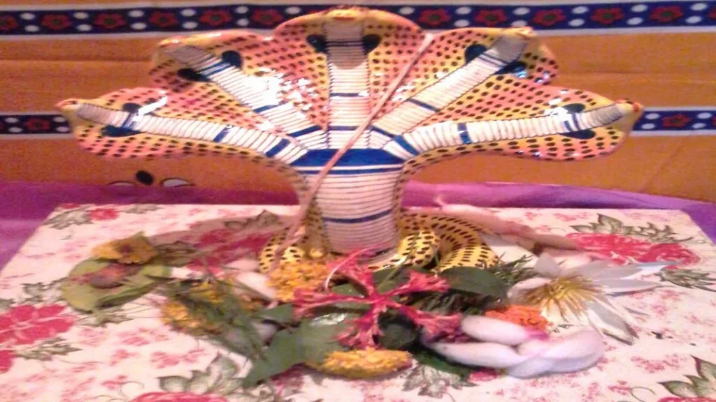 मळगावात पाच फणांच्या नागोबाचे दीड दिवस पूजन