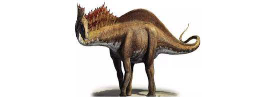 16 million years old fossil found in Jaisalmer