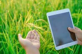 शेतकऱ्यांसाठी नवीन अॅपची निर्मिती Creation of a new app for farmers