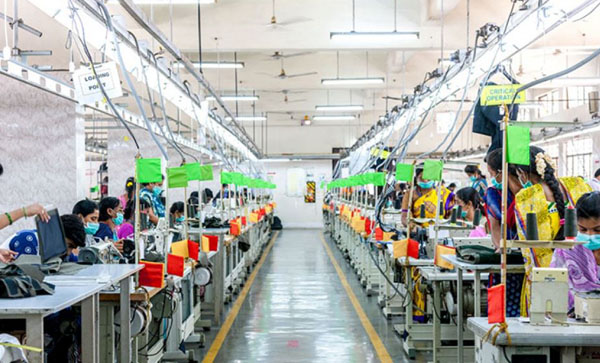 Shares of Gokaldas Exports rise