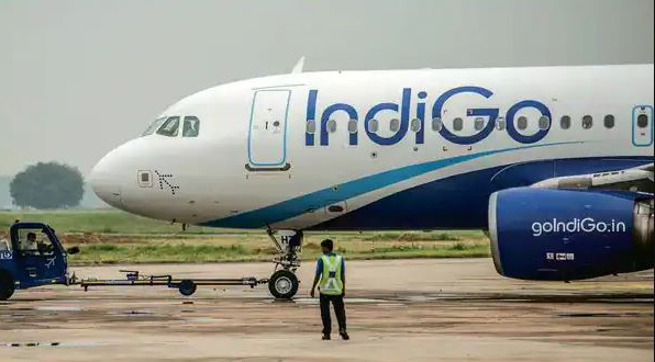 Indigo shares fall