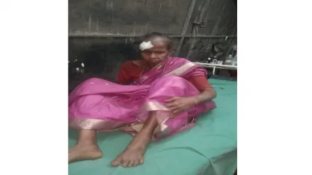 त्या गंभीर वृद्ध महिलेसाठी धावून आले सामाजिक बांधिलकीचे सदस्य