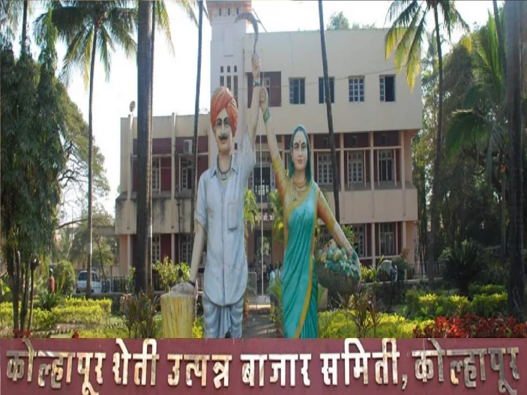 कोल्हापूर बाजार समितीत कांद्याची आवक घटली Inflow of onion decreased in Kolhapur market committee