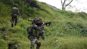 दोन दहशतवाद्यांचा एलओसीजवळ खात्मा Two terrorists killed near LoC