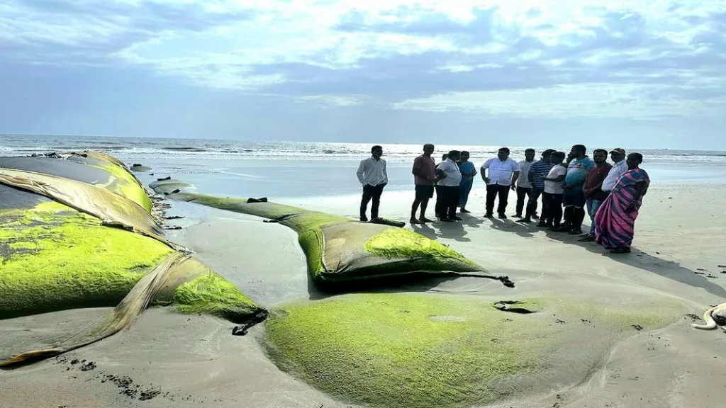 देवबाग समुद्र किनारपट्टीवरील जिओ ट्युब बंधाऱ्याचे काम पूर्ण