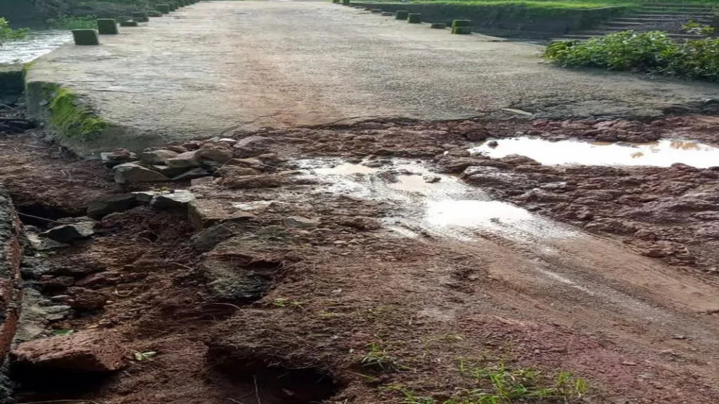 न्हावेली धाऊसकरवाडी रस्त्याची दुरावस्था : प्रशासनाचा दुर्लक्ष