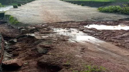 न्हावेली धाऊसकरवाडी रस्त्याची दुरावस्था : प्रशासनाचा दुर्लक्ष