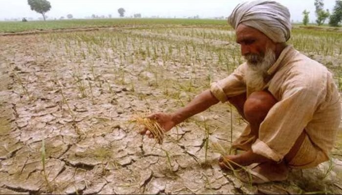 राज्यासाठी ऑगस्टचा पंधरवडा कोरडाच This year's August was the driest with the lowest rainfall since 1901