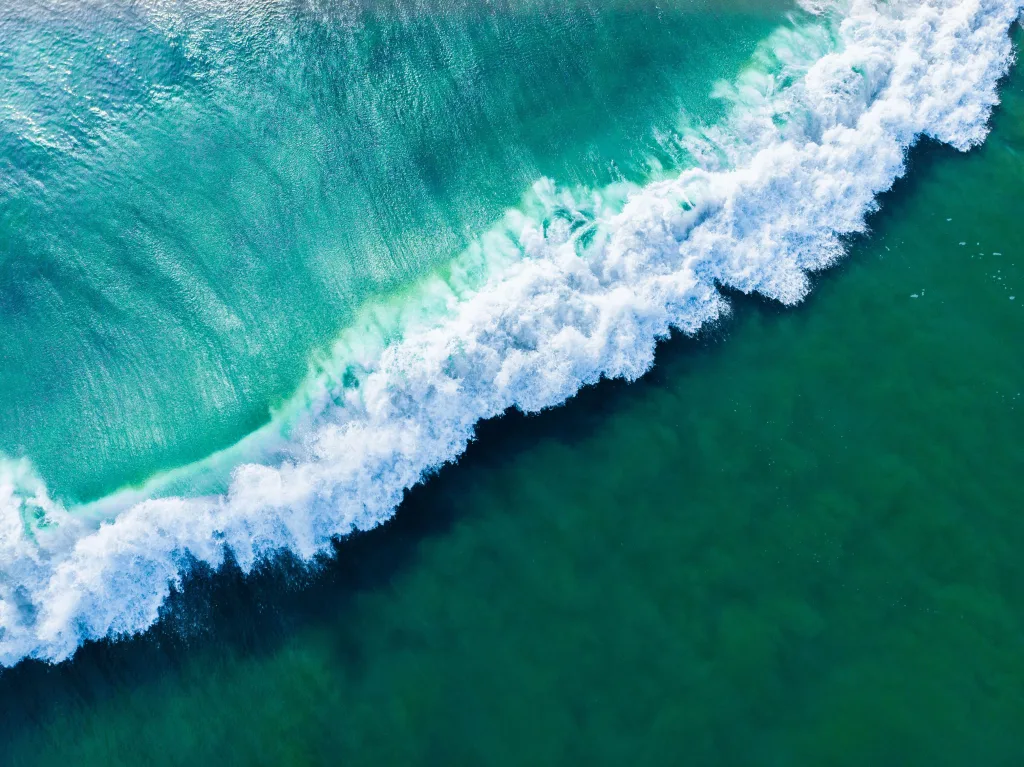 56 percent of ocean color changed in 20 years
