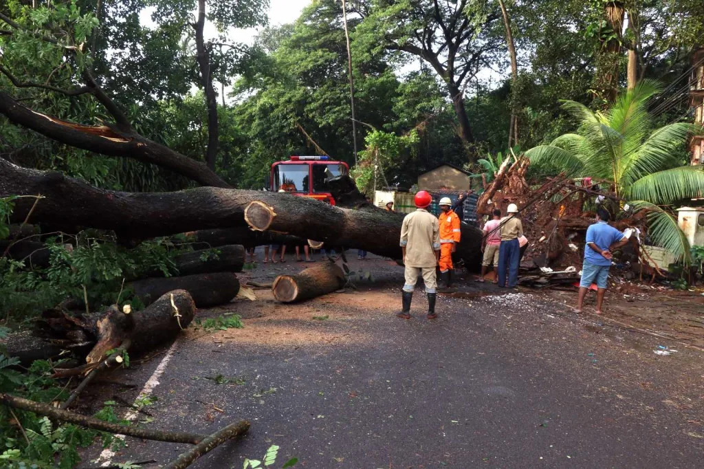 परतीच्या मुसळधार पावसाचा धुमाकूळ The fumes of the return heavy rains