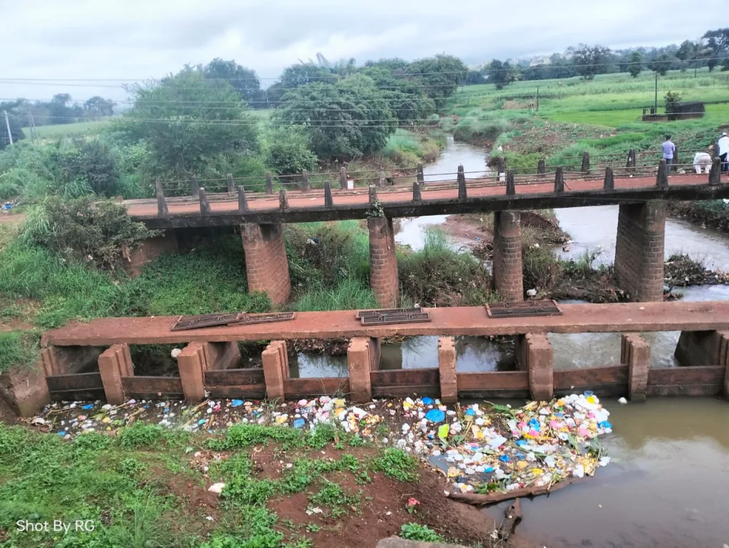 The question of Nirmalya in Ganeshotsav is on the air