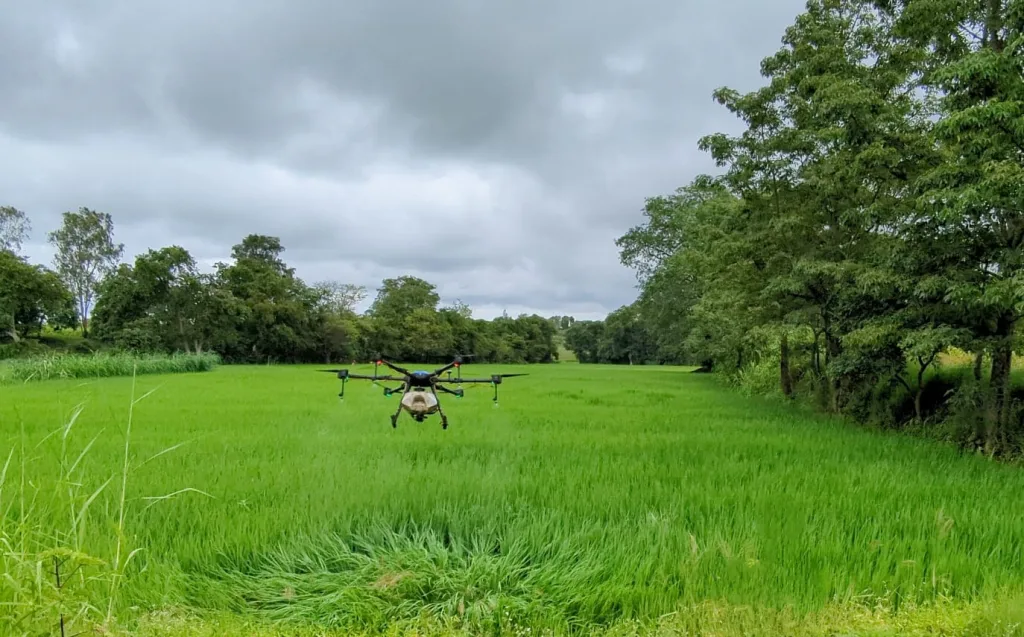 पिकांवरील फवारणीसाठी आता ड्रोनचा वापर Drones are now being used to spray crops