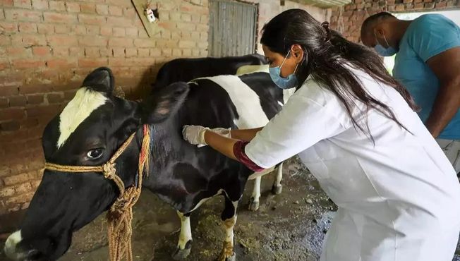 Saliva prevention vaccination from tomorrow