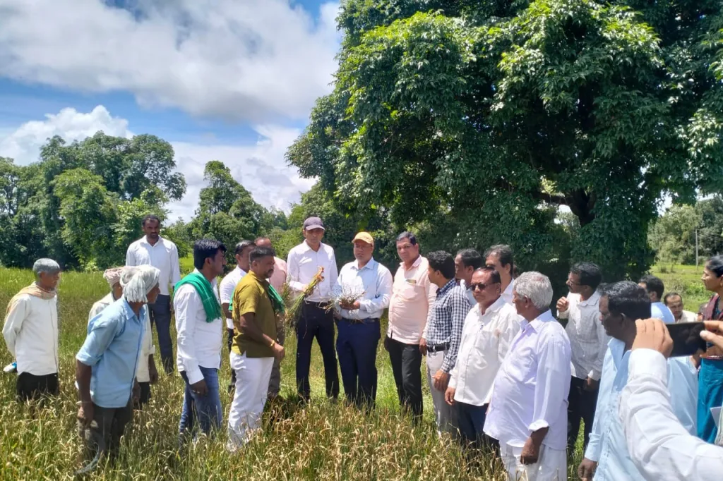 जिल्हाधिकाऱ्यांकडून खानापूर तालुक्यातील पिकांची पाहणी Inspection of crops in Khanapur taluka by district collector